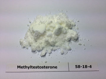 China 99% Purity Testosterone Raw Steroid Powder / Methyltestosterone Powder CAS 58-18-4 supplier
