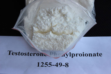 China 99% Purity Testosterone Powder Testosterone Phenylpropionate For Muscle Building CAS 1255-49-8 supplier