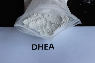 China Dehydroepiandrosterone Muscle Building Steroids CAS 53-43-0 DHEA for Anti Aging supplier