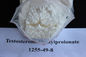 99% Purity Testosterone Powder Testosterone Phenylpropionate For Muscle Building CAS 1255-49-8 supplier