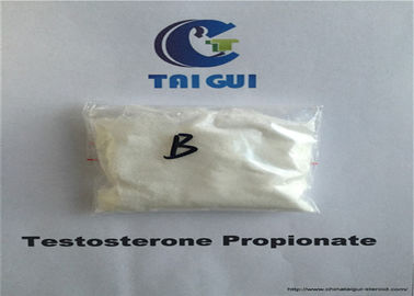 China 100ml/mg Injection Bodybuilding Raw Steroid Powders Testosterone Propionate Test Prop supplier