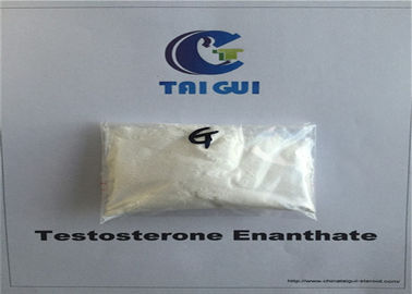 China Testosterone Enanthate Test En Injectble Raw Steroid Powders 250mg/ml Muscle And Strength Gain supplier