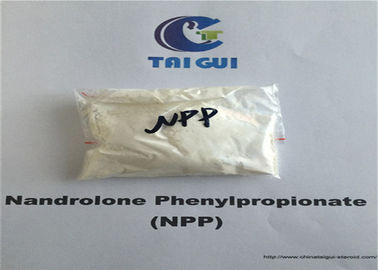 China CAS 62-90-8 Raw Steroid Powders Nandrolone Phenylpropionate NPP Durabolin Cutting Cycle supplier