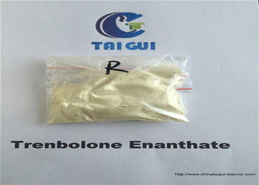 China Yellow Muscle Growth Raw Steroid Powders Trenbolone Enanthate Tren Enan Injectable supplier