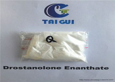 China Drostanolone Enanthate Bodybuilding CAS 472-61-1 Deca Durabolin Steroid Powder supplier
