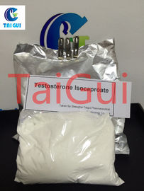 China Testosterone Isocaproate Test Raw Steroid Powders ISO Certificated supplier