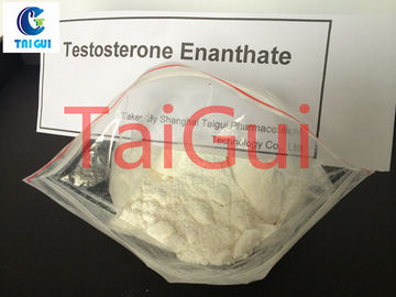 China Muscle Building Testosterone Steroid Hormone Testosteron Enanthate Test en steroid 100mg/ml supplier
