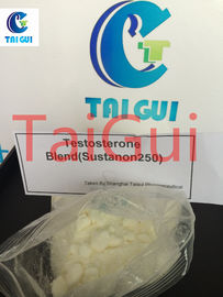 China Sustanon 250 Testosterone Steroid Hormone Testosterone Blend Steroid Powder supplier