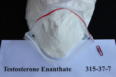 China CAS 315-37-7 99% Testosterone Enanthate / Test E White Powders For Muscle Growth supplier