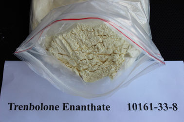 China Injectable Trenbolone Enanthate / Tren E Raw Steroid Powders CAS 10161-33-8 supplier