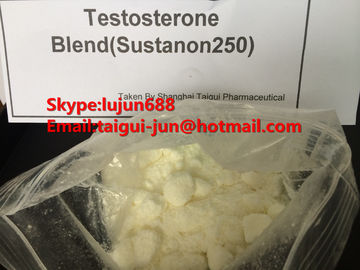 China Muscle Testosterone Blend Anabolic Steroid Hormones Sustanon 250  Testosterone Sustanon supplier