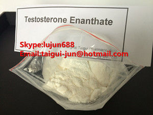 China Safe Anabolic Muscle Building Testosterone Enanthate Test En White Crystalline Powder CAS 315-37-7 supplier