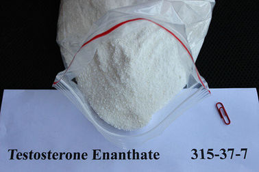 China Safe Anabolic Testosterone Enanthate Pharmaceutical Steroids Raw Material CAS 315-37-7 supplier