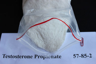 China 99% Injectable Testosterone Propionate / Test Prop Raw Steriod Powders CAS 57-85-2 supplier