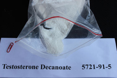 China Injectable Testosterone Steroids / Testosterone Decanoate Raw Steroid Powders 5721-91-5 To Gain Weight supplier