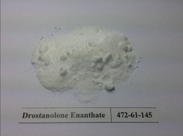 China Natural Drostanolone Enanthate Raw Steroid Powders / Drolban Powders For Bodybuilding Cycle CAS 472-61-145 supplier