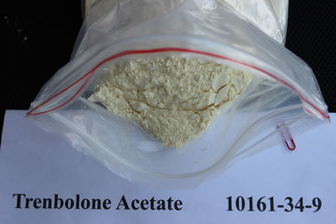 China Safety Pure Trenbolone Acetate Anabolic Steroid Hormones Trenbolone Powder Steroids CAS 10161 supplier