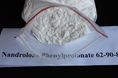 China Oral Pharmaceutical Steroids Raw Nandrolone Phenylpropionate Testosterone Powder 62-90-8 supplier