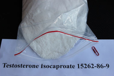 China Safe Oral Testosterone Steroid Powder / Testosterone Isocaproate For Male Sexual Dysfunction supplier