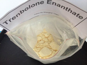 China Injectable Trenbolone Steroids Trenbolone Enanthate / Tren E CAS 10161-33-8 supplier